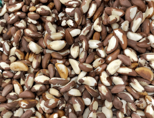 La castaña amazónica como superalimento